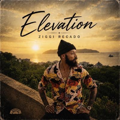 Elevation Ziggi Recado