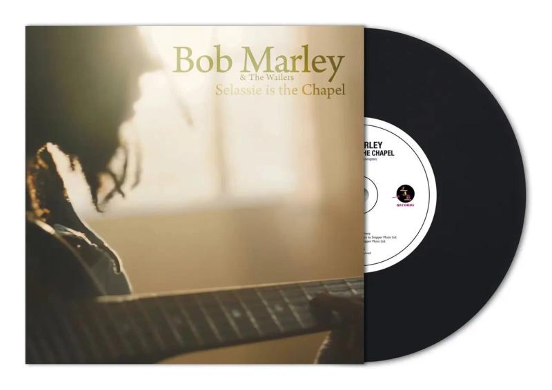 Roots Report 2024: Vibes, Vision, and Reggae Revelations