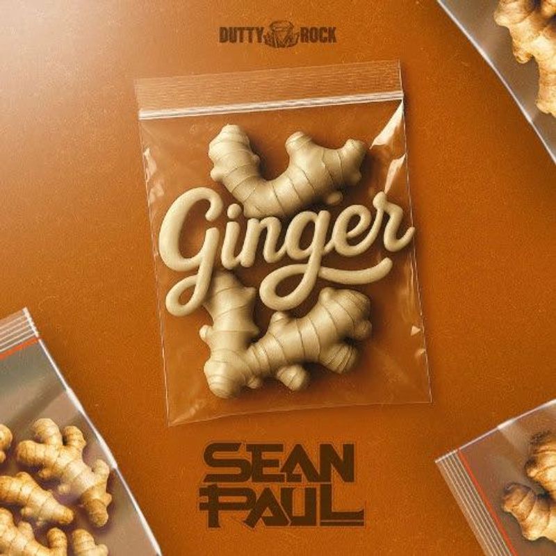 NUEVO SINGLE SEAN PAUL LE METE SABOR AL VERANO CON “GINGER”
