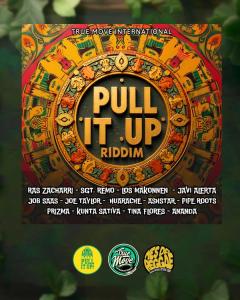¡Convocatoria Abierta! Súmate al “Pull It Up Riddim”