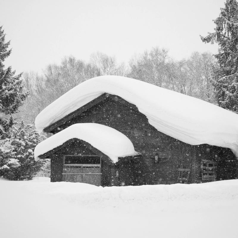 Non-Linear Studio - Hokkaido Trip