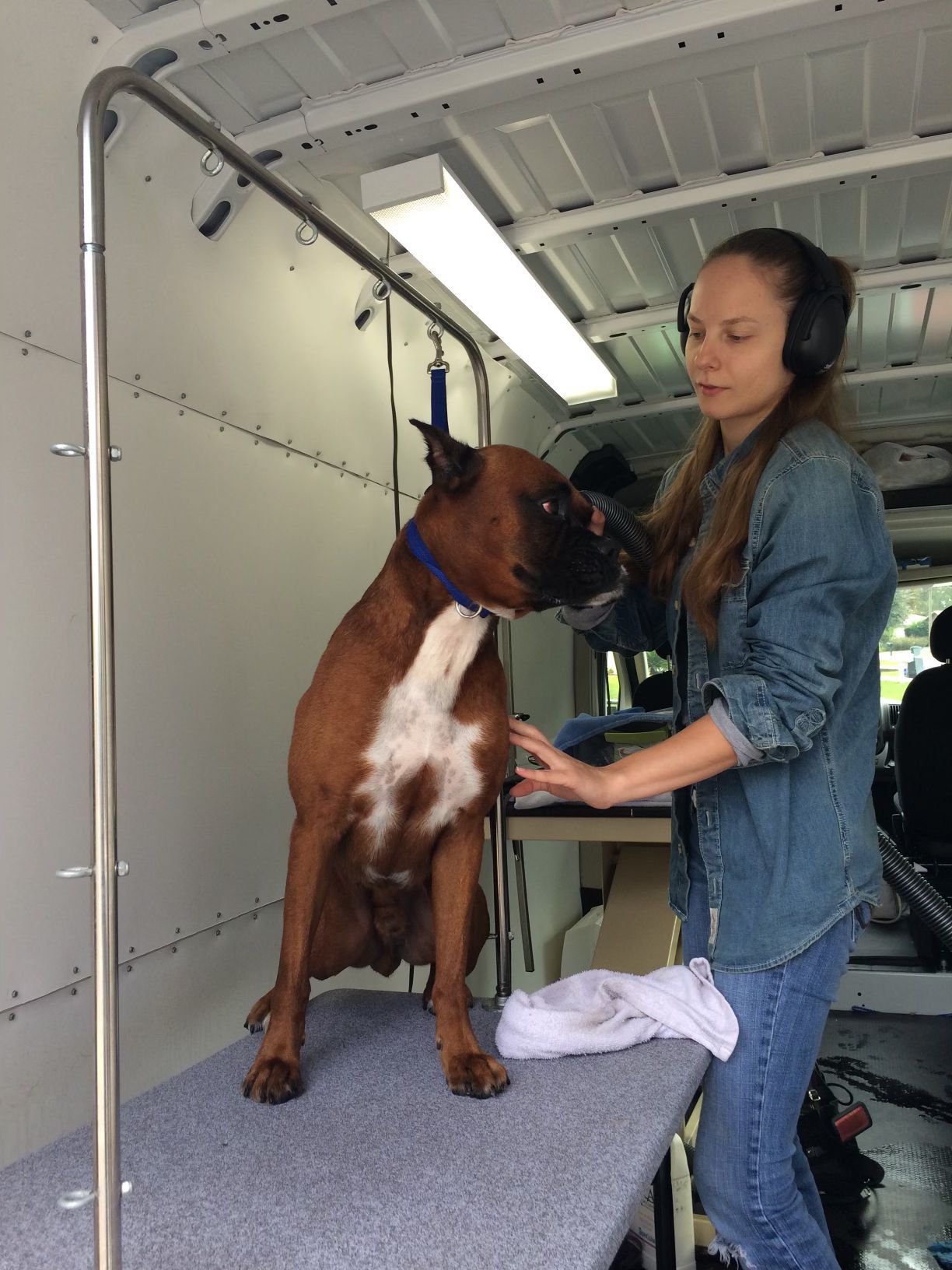 Palm Coast dog grooming