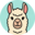 Icon of Llamarush