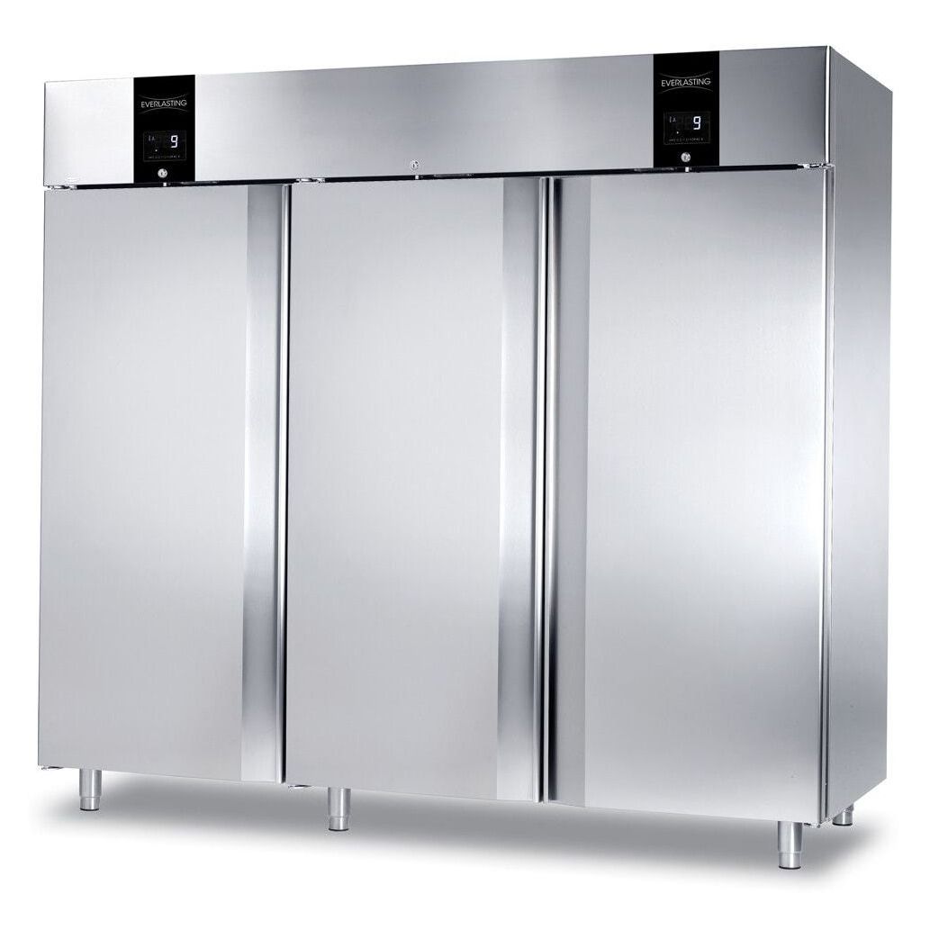 Kahe sektsiooniga külmkapp Everlasting Classic 2300 2T