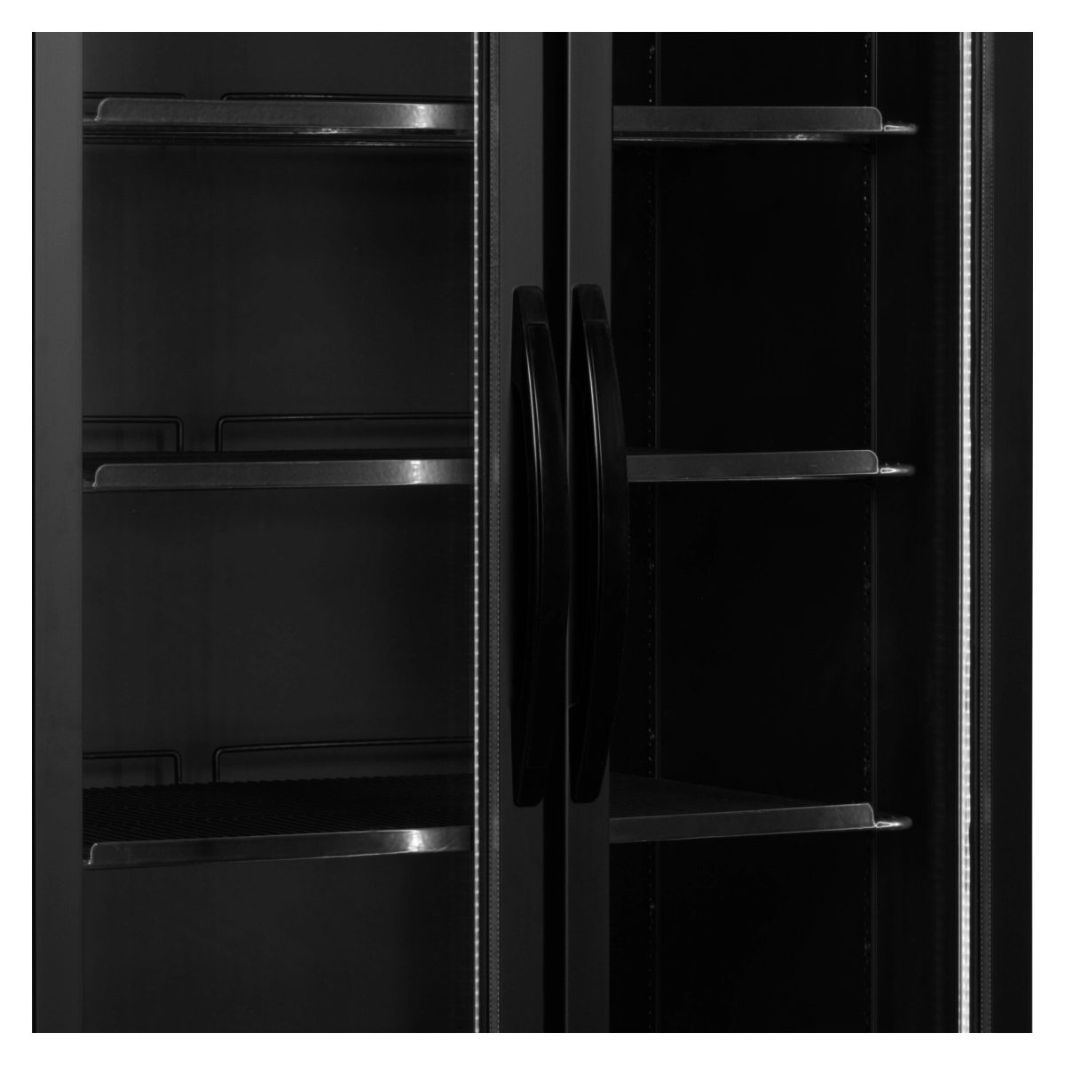 Külmkapp-joogikülmik FS890H Black