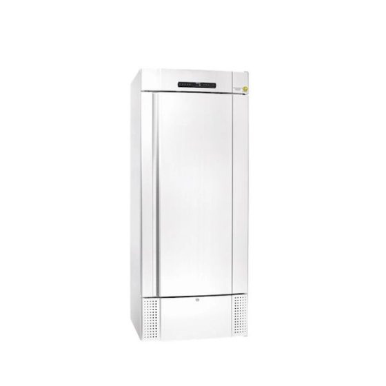Meditsiiniline külmkapp BioMidi RR 625