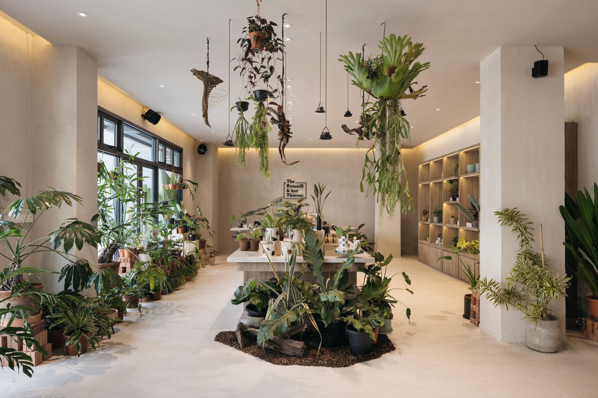 The Botanist & Her Thieves