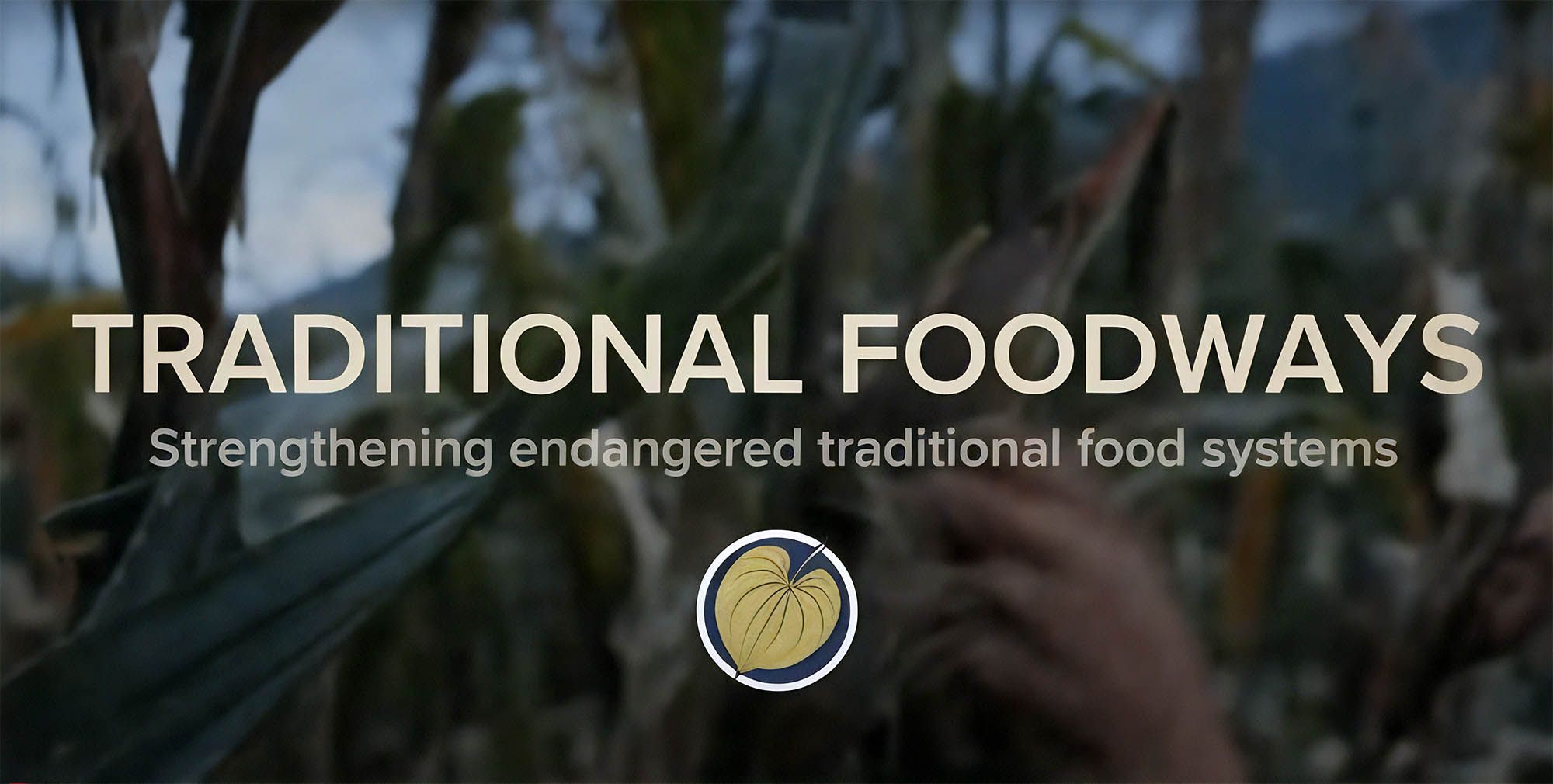 Traditional Food gallery image 1