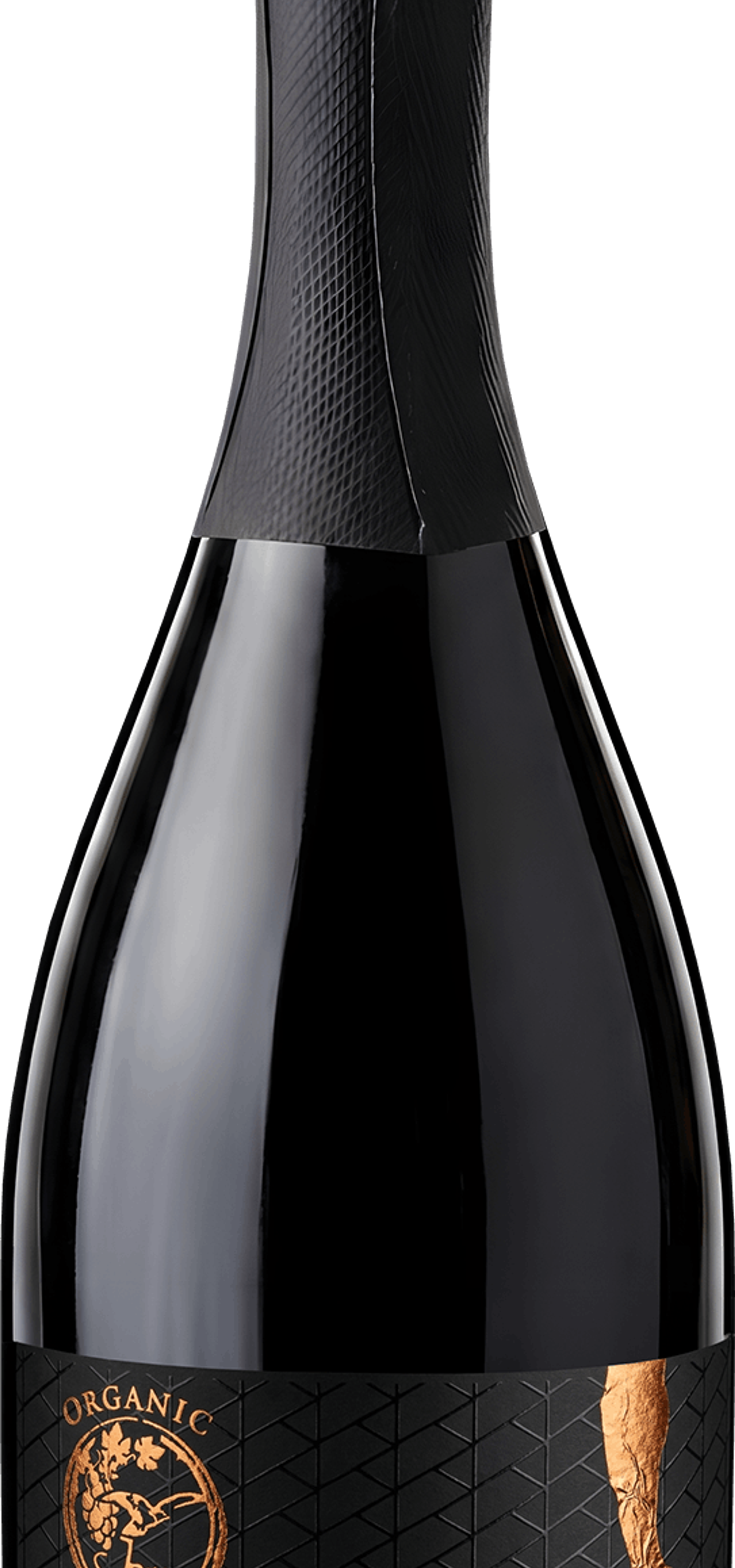 Jokić vineyard - Chance