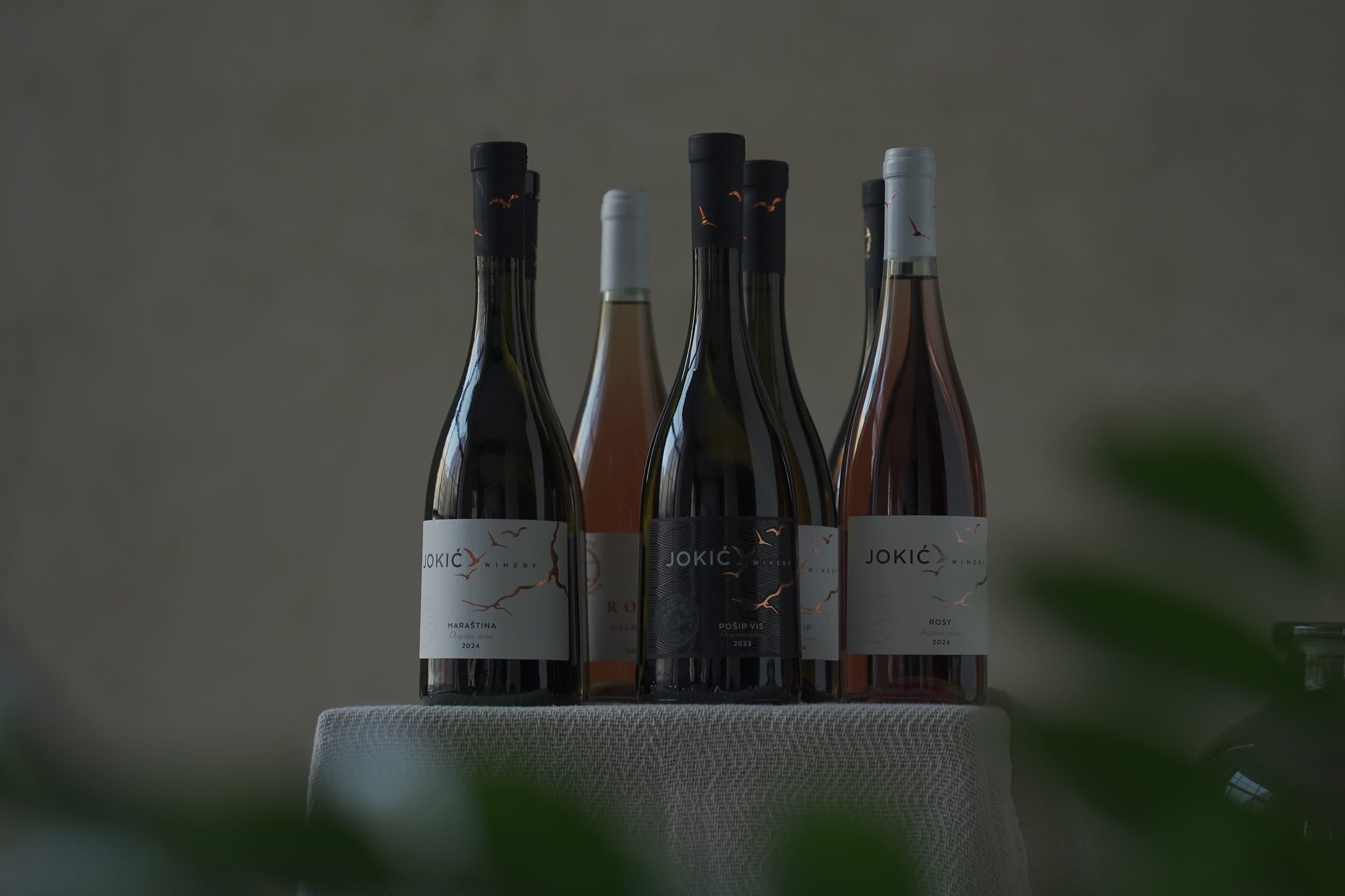 Kolekcija boca vina vinarije Jokić s modernim bijelim i crnim etiketama na kojima je zlatni motiv korijena ili pukotine.