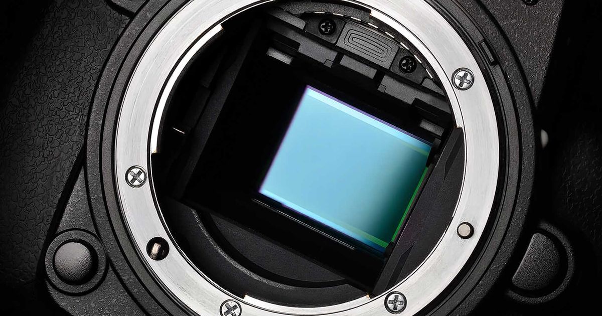 Sensor Portrait How to Find the Perfect Sensor for Your Photography Style