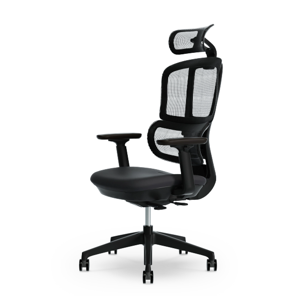 Ergofinite エルゴフィニット - THE ERGORISM PRO