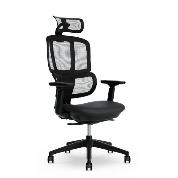 Ergofinite エルゴフィニット - THE ERGORISM PRO