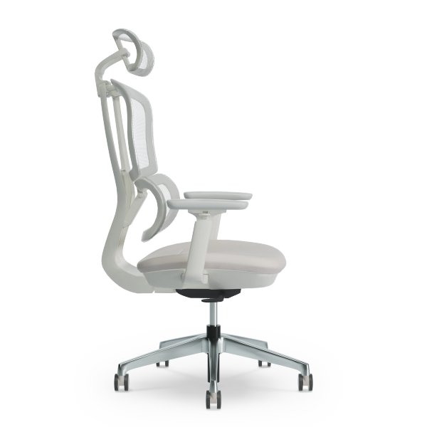 Ergofinite エルゴフィニット - THE ERGORISM PRO