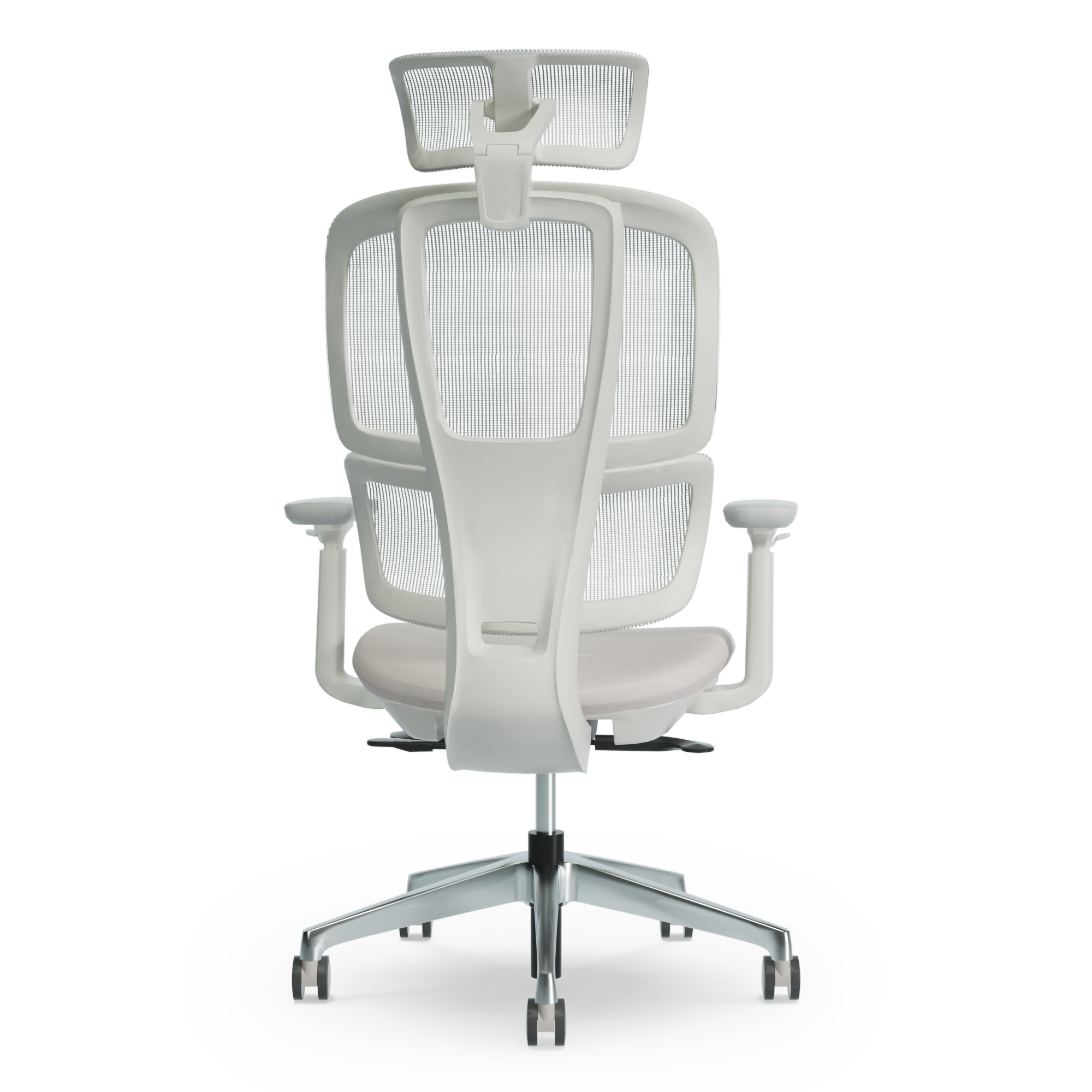 Ergofinite エルゴフィニット - THE ERGORISM PRO