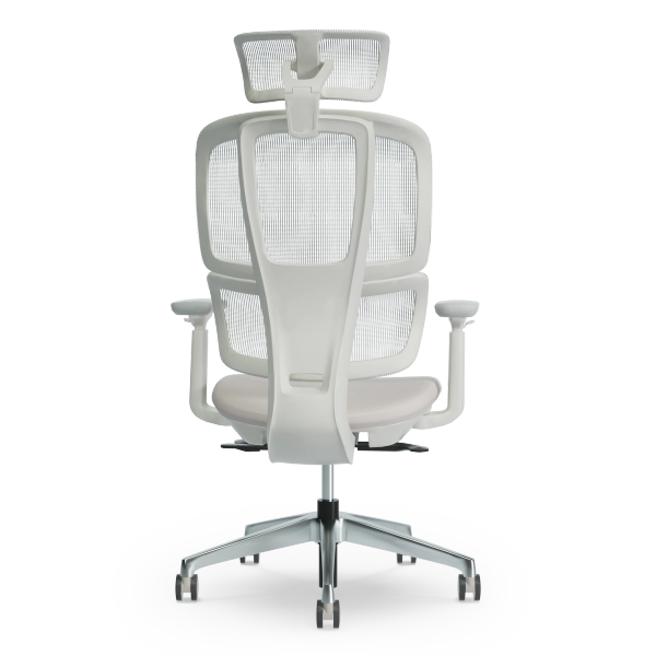 Ergofinite エルゴフィニット - THE ERGORISM PRO