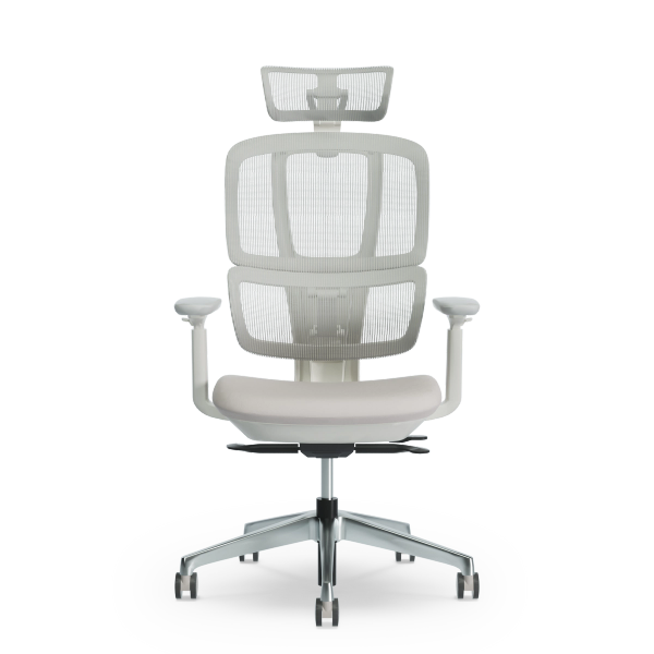 Ergofinite エルゴフィニット - THE ERGORISM PRO