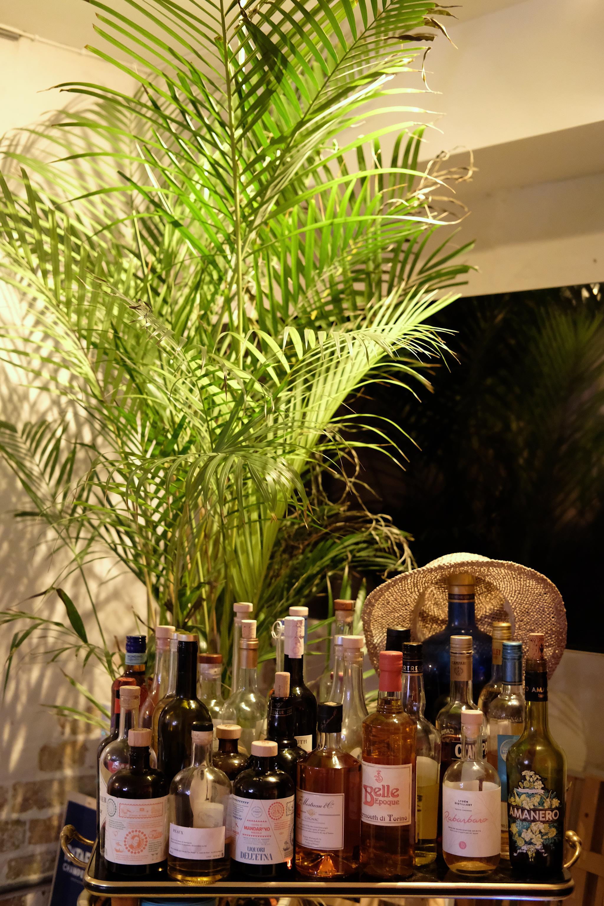 Bild: Nathalie Jörnheim