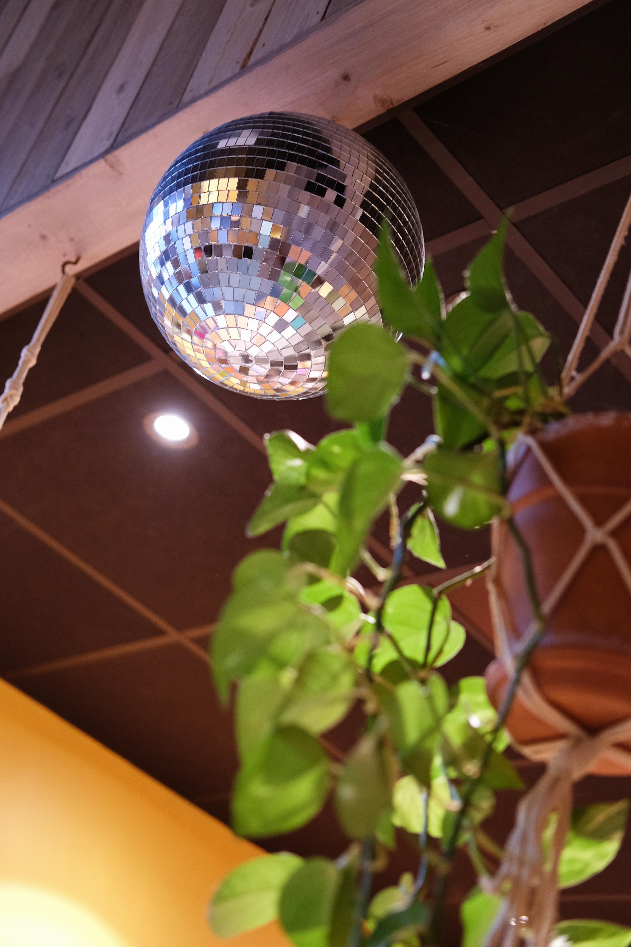 Bild: Nathalie Jörnheim