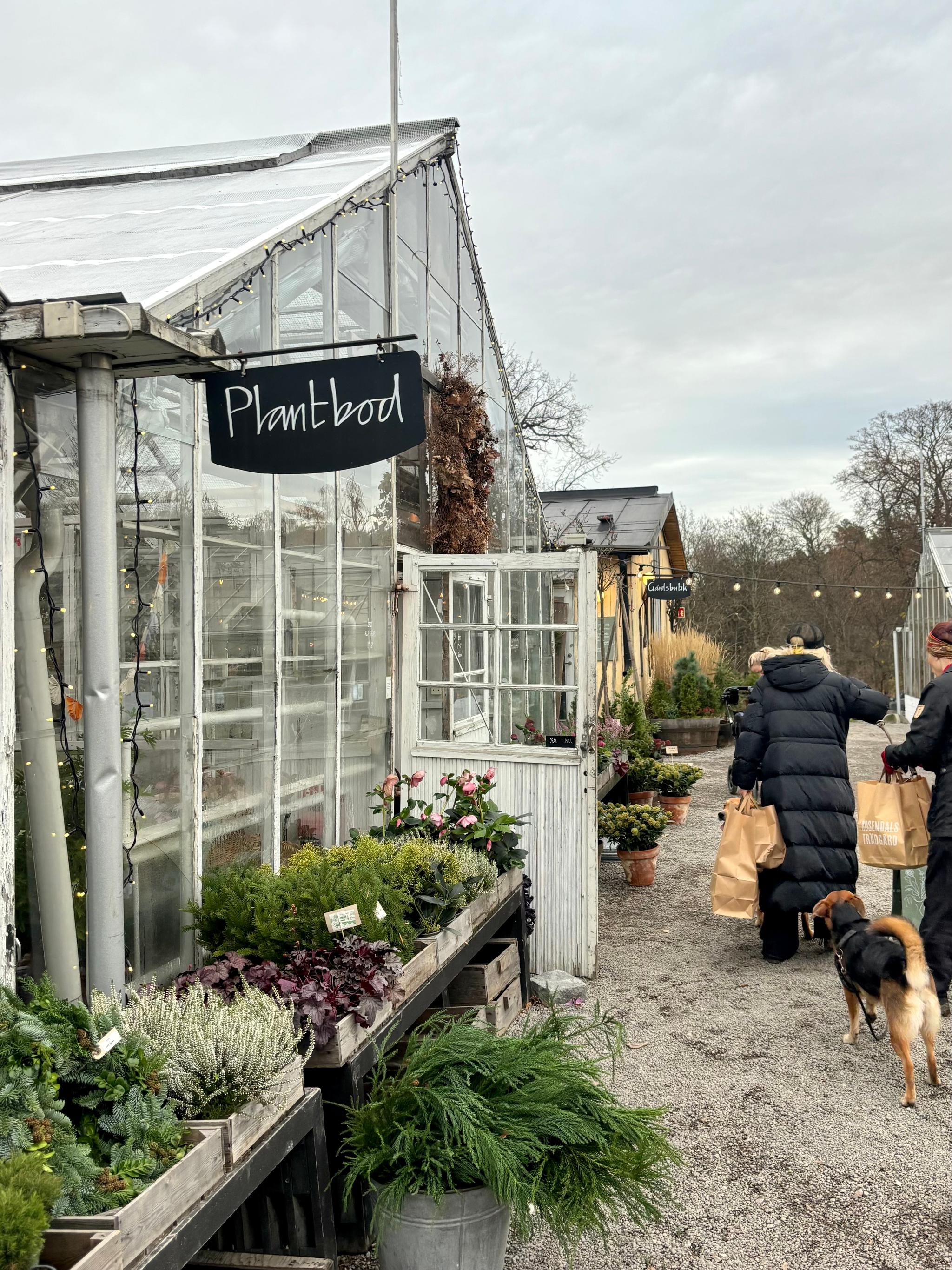 Bild: Olivia Henriksson