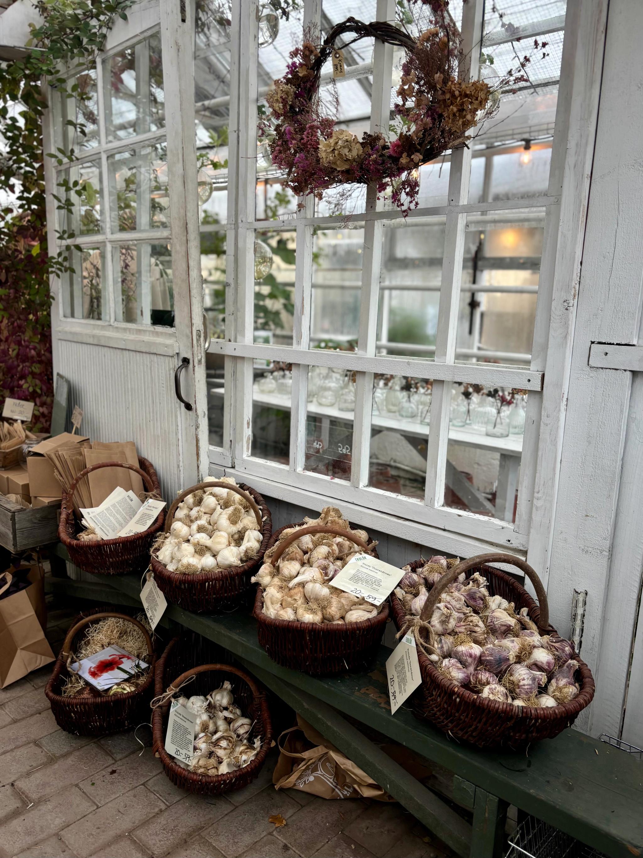 Bild: Olivia Henriksson