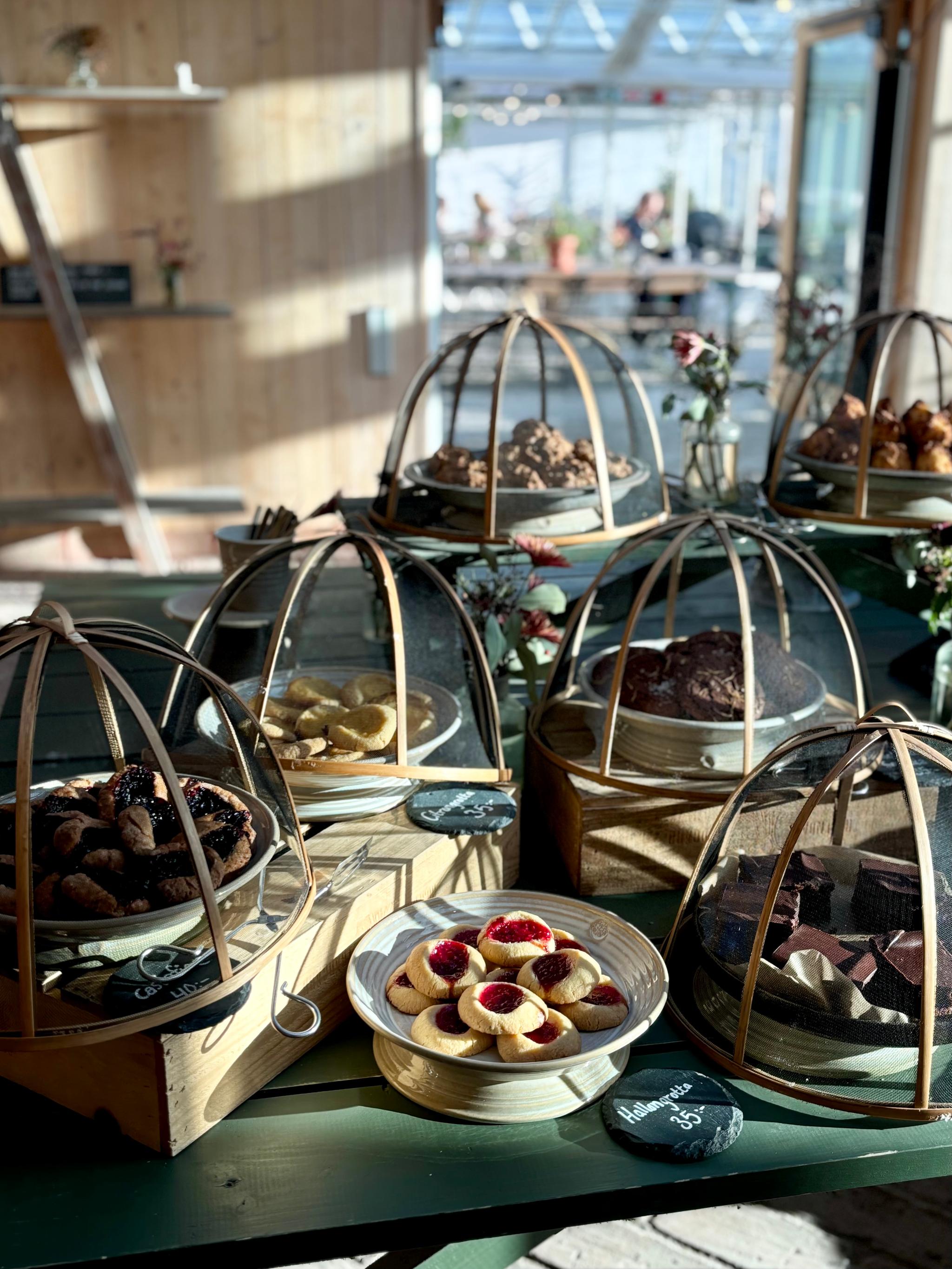 Bild: Olivia Henriksson