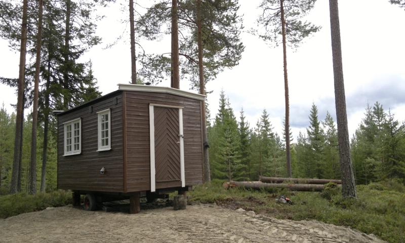 Tyribua