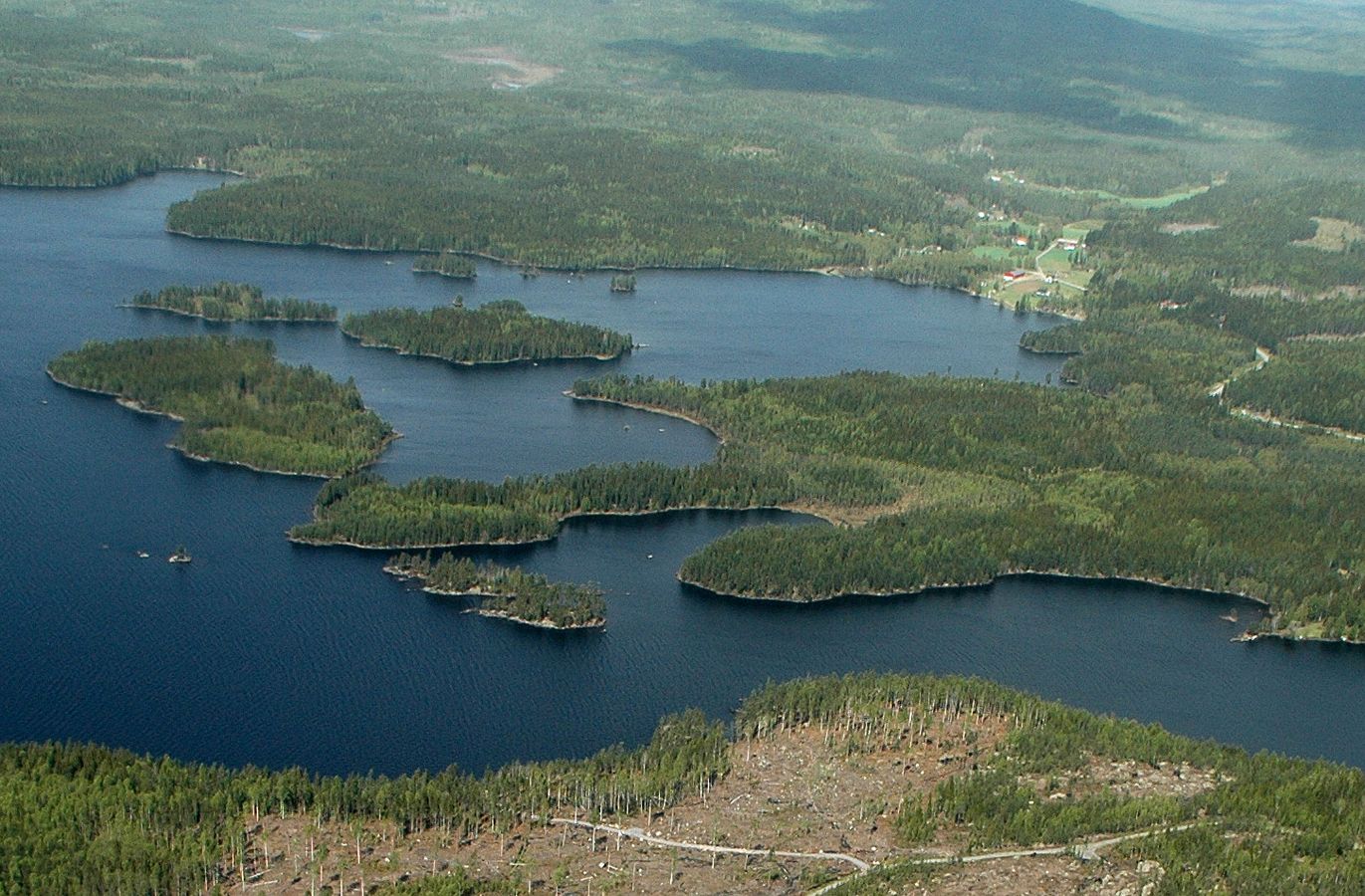 Skogeiendom med vann og skogsbilveg
