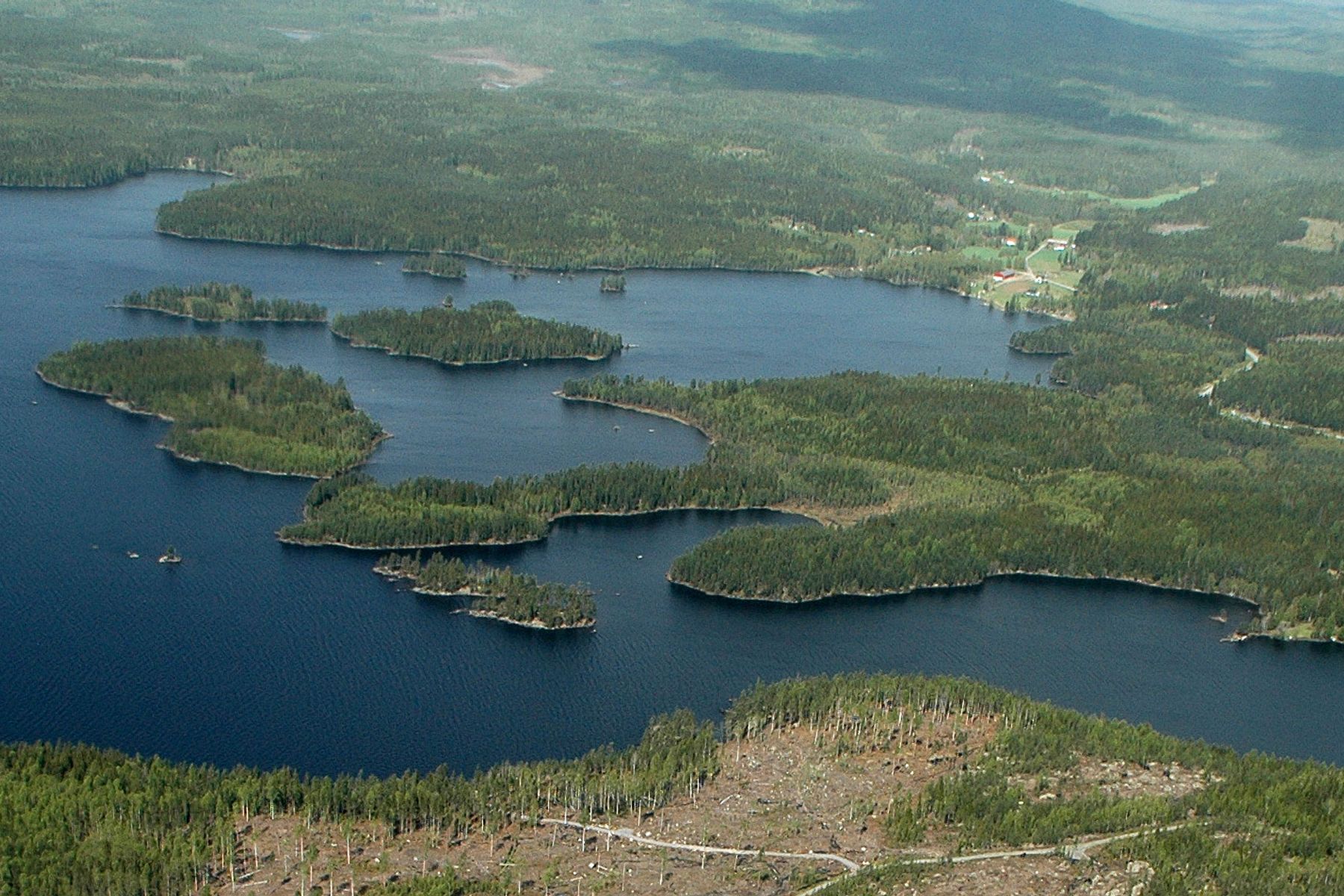 Skogeiendom med vann og skogsbilveg