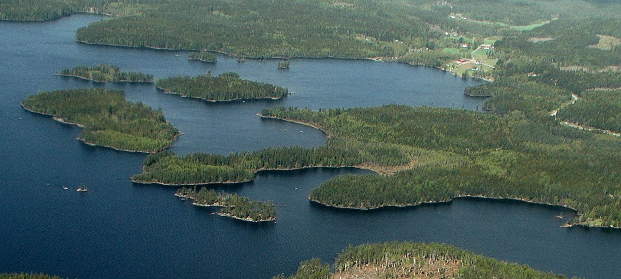 Skogeiendom med vann og skogsbilveg