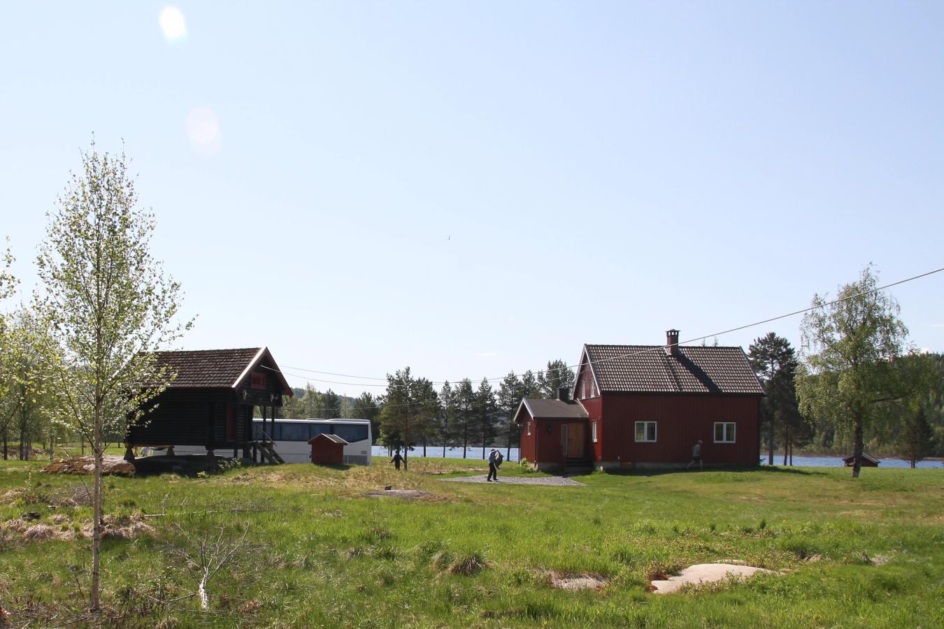 Buhol med bua