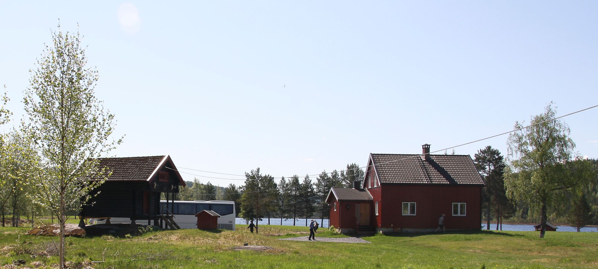 Buhol med bua