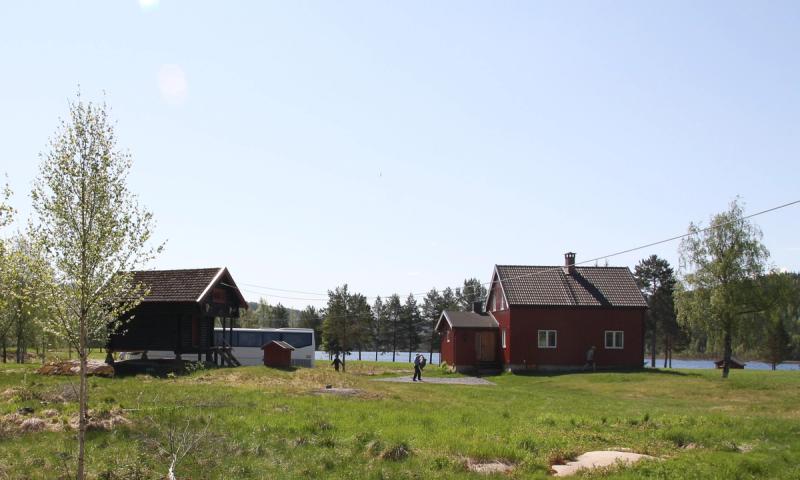 Buhol med bua