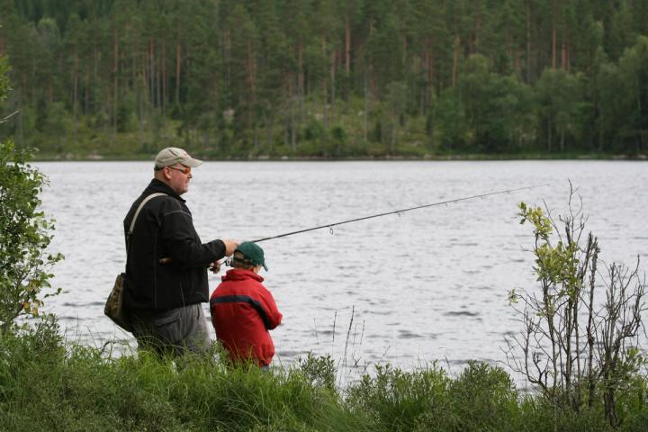 Skogsvann egnet for fiske