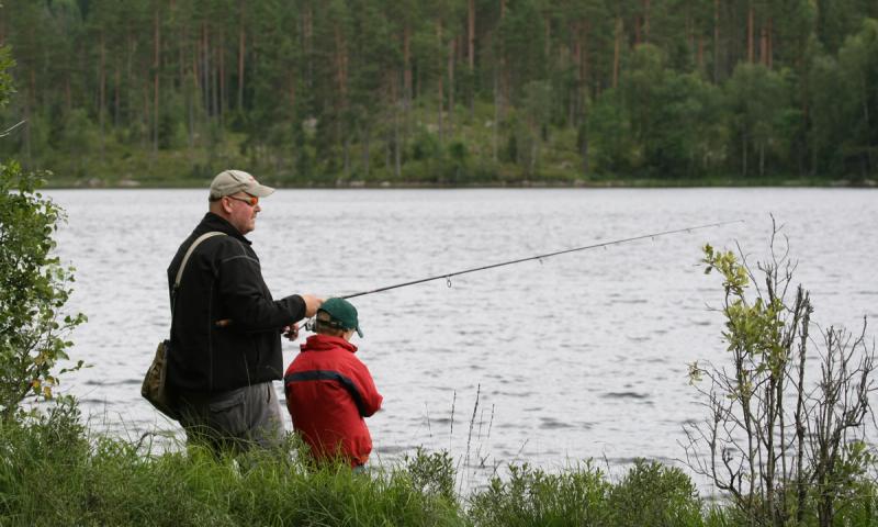 Skogsvann egnet for fiske