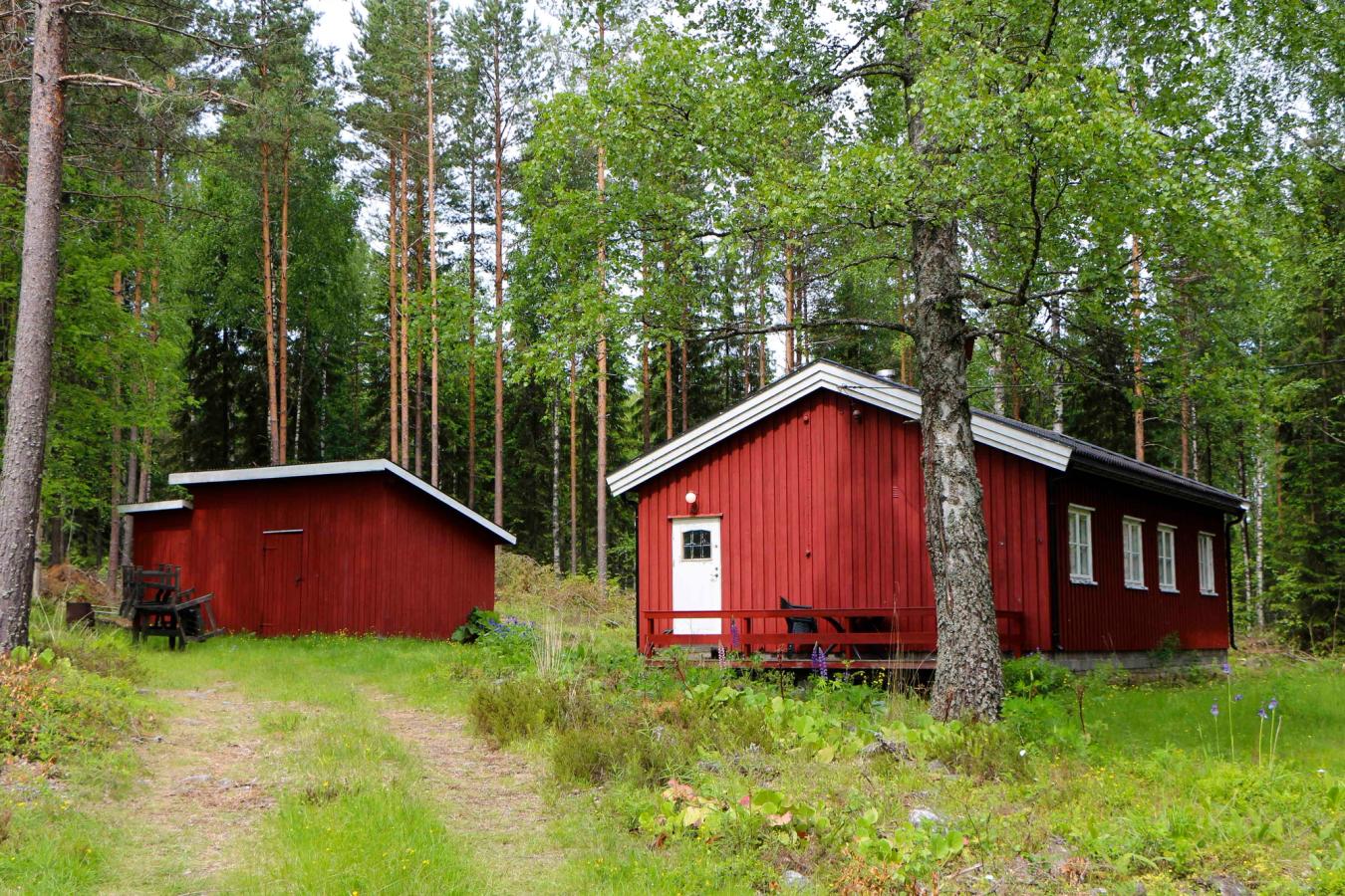 Buneskoia ved Bjørknessjøen