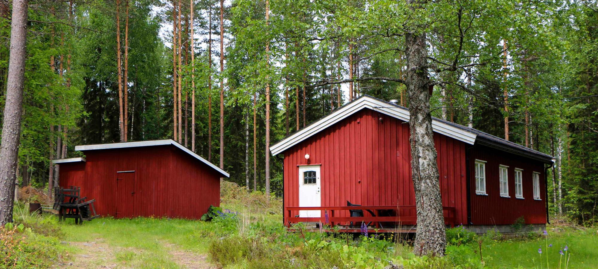 Buneskoia ved Bjørknessjøen