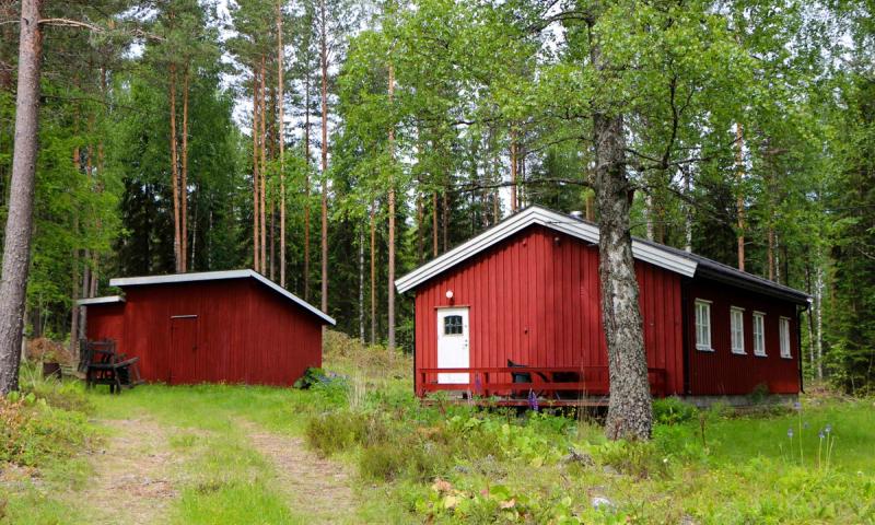Buneskoia ved Bjørknessjøen