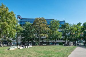 Altab Ali park has a field of grass and DSDHA's The Hickman sits behind a row of trees