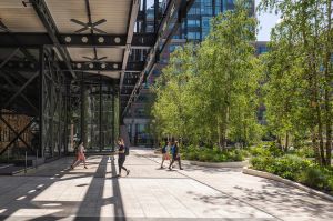 Entrance into Exchange Square during Summer