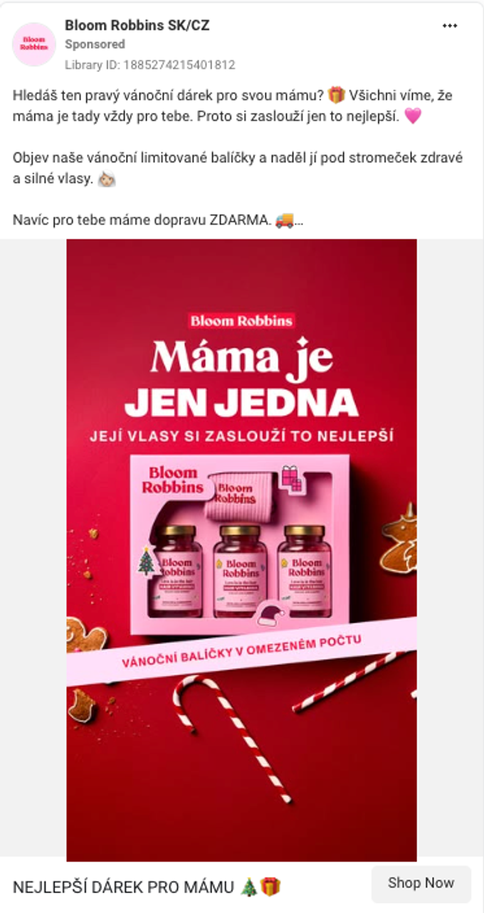 Ukázka kreativy pro vánoční sezónu