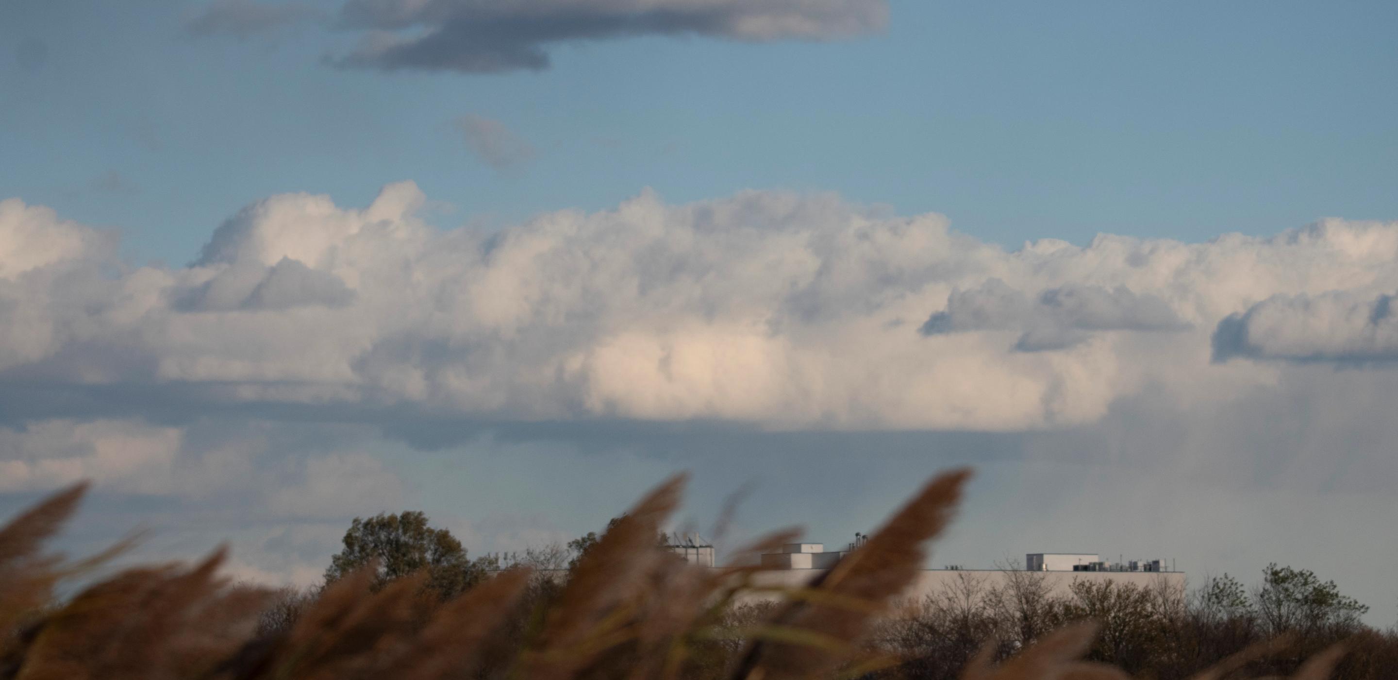 Salt Marsh Landscape
