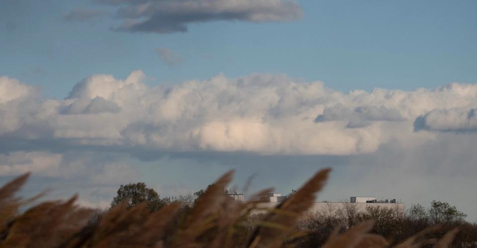 Salt Marsh Landscape