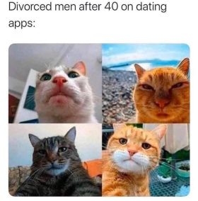 86472f93-e70c-4c86-ffba-e7949d8677de.jpeg (This is quite possibly my assistant's favorite meme.)