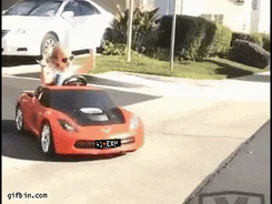 Kid+Drifting+GIF+by+The+Hardens+eXp+Realty.gif Animated reaction: Kid Drifting