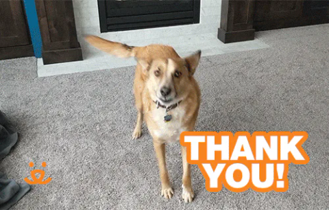 Thank+U+GIF+by+Best+Friends+Animal+Society.gif Animated reaction: Thank U