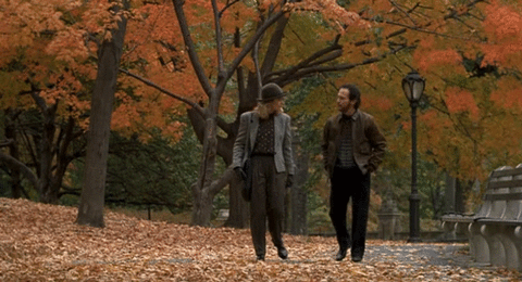 When+Harry+Met+Sally+Fall+GIF.gif Two men in coats walk together along a path covered in orange autumn leaves.
