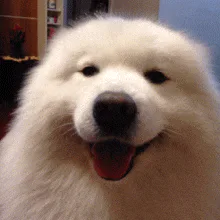 Animated reaction: Flirty wink