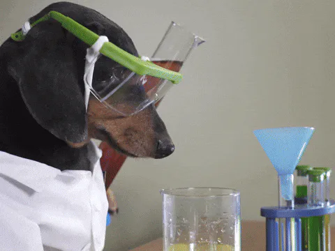 Animated reaction: accompanying: But when chemistry is the only deciding factor, it often overrides red flags and ignores