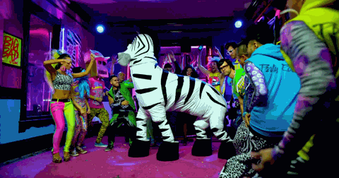 Animated reaction: Zebra